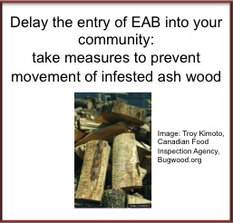 don't move EAB